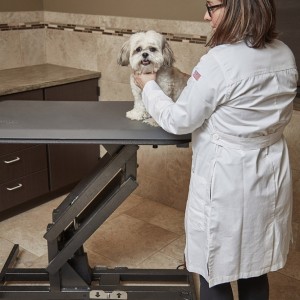 Terapeutické podložky pre psov - kolekcia Squared
